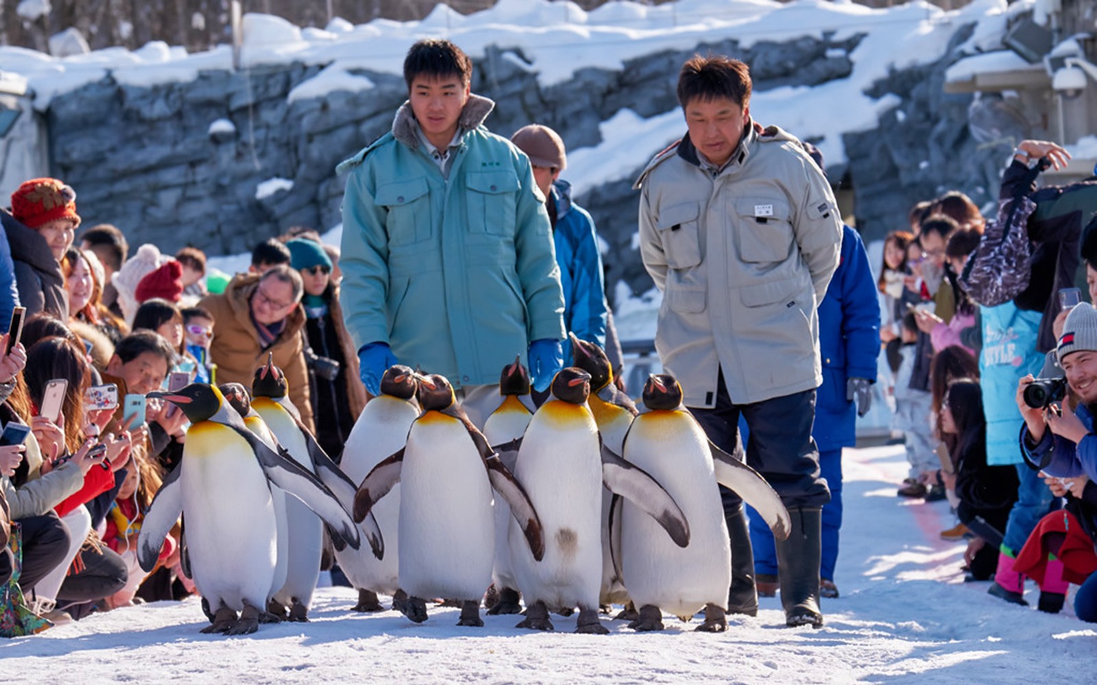 Khám Phá Mùa Đông Hokkaido: Hành Trình Trên Tàu Phá Băng Garinko, Vườn Thú Asahiyama, Bibai Snow Land và Nghỉ Dưỡng Tại Club Med