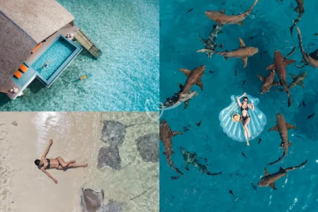 Maldives 5 Ngày 4 Đêm | Bơi Cùng Cá Mập, Check-in Sandbank & Nghỉ Dưỡng Tại Overwater Villa